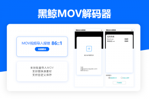 小黑盒 黑鲸MOV解码器