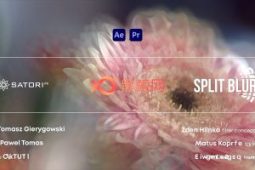 【中文汉化】万花筒分割模糊迷幻视觉特效 Split Blur v1.0.2