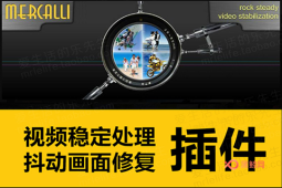 【PR/AE插件】2020最新视频稳定防抖画面修复插件 再也不担心手抖了！ ProDAD Mercalli-A-P00059