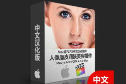 【PR/AE/Fcpx插件】最新视频磨皮降噪神器 轻轻松松完成视频磨皮!Beautybox-A-P00063