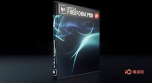 AE插件-专业3D网格变形扭曲插件 FreeForm Pro v1.99 Win/Mac破解版 + 使用教程-A-P00071