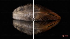 【AE/PR插件】视频智能锐化清晰 Fixel EdgeHancer v3.0.0 Win/Mac破解版-A-P00073