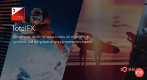 【AE/PR插件】视觉特效转场调色字幕磨皮美颜稳定防抖滤镜包 NewBlueFX TotalFX7 7.5.210310 Win