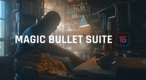 【英文】红巨人降噪磨皮美颜调色套装AE/PR/FCPX/达芬奇/VEGAS插件 v16.1.0 Win/Mac