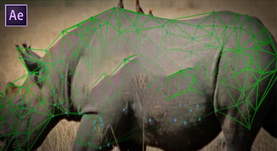 物体表面跟踪特效合成高级工具 Lockdown v2.4.3 Win/Mac