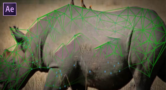 【中文】物体表面跟踪特效合成高级工具 Lockdown v2.5.0 Win/Mac