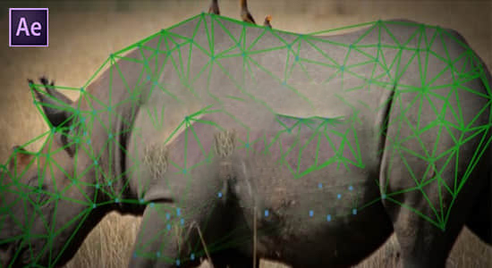 【中文】物体表面跟踪特效合成高级工具 Lockdown v2.6.1 Win/Mac