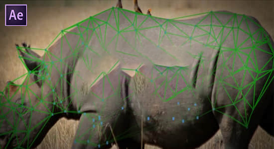 【中文】物体表面跟踪特效合成高级工具 Lockdown v2.6.2 Win/Mac