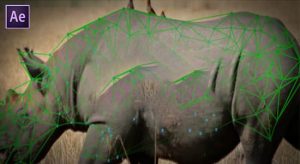 【中文】物体表面跟踪特效合成高级工具 Lockdown v2.7.1 Win