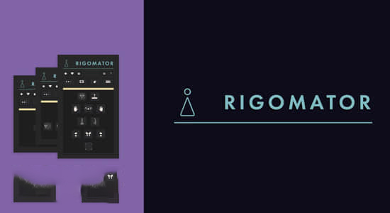 人物角色骨骼动作绑定控制工具 Rigomator v1.0.3