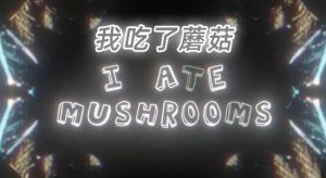 【英文】人工智能AI神经网络图像生成器AE插件 I Ate Mushrooms v1.5.4 Win