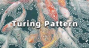 【中文】创意抽象图灵纹理效果生成工具 Turing Pattern v1.0 Win