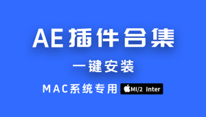 【代理商品】MAC插件一键安装合集，支持M、Inter芯片