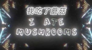 【英文】-人工智能AI神经网络图像生成器 I Ate Mushrooms v1.5.10