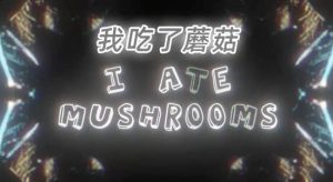 【英文】人工智能AI神经网络图像生成器AE插件 I Ate Mushrooms v1.8.23 Win/Mac